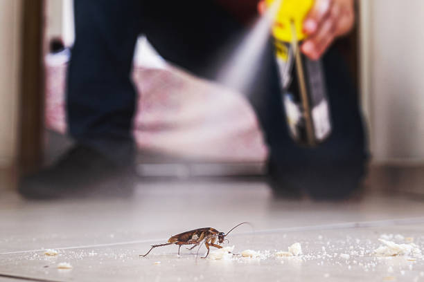 Best Pest Prevention Services  in Richfield, OH